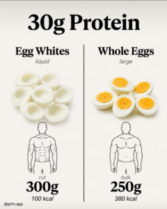 An infographic comparing egg whites and whole eggs showing protein content calories and benefits with visual elements li