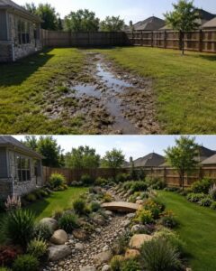 A beautiful dry creek garden winding through a lush green yard with various rocks and drought-tolerant plants along its 