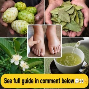 A person s slightly swollen feet being gently soaked in a wooden basin filled with warm water surrounded by fresh herbs