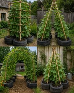 A vibrant vertical cucumber garden made from stacked old tires and bamboo trellises showing lush green cucumber vines an