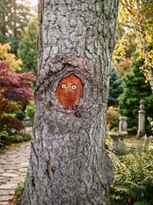 A close-up of a tree knot on a tree trunk with a small cheerful face painted on it The tree bark is textured and the fac