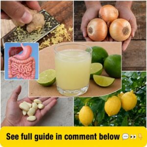 A vibrant flat lay of fresh whole lemons red onions and garlic bulbs on a wooden table emphasizing their natural raw sta