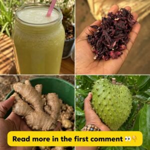A vibrant and inviting image featuring fresh hibiscus flowers a gnarly piece of ginger root and a whole soursop fruit po