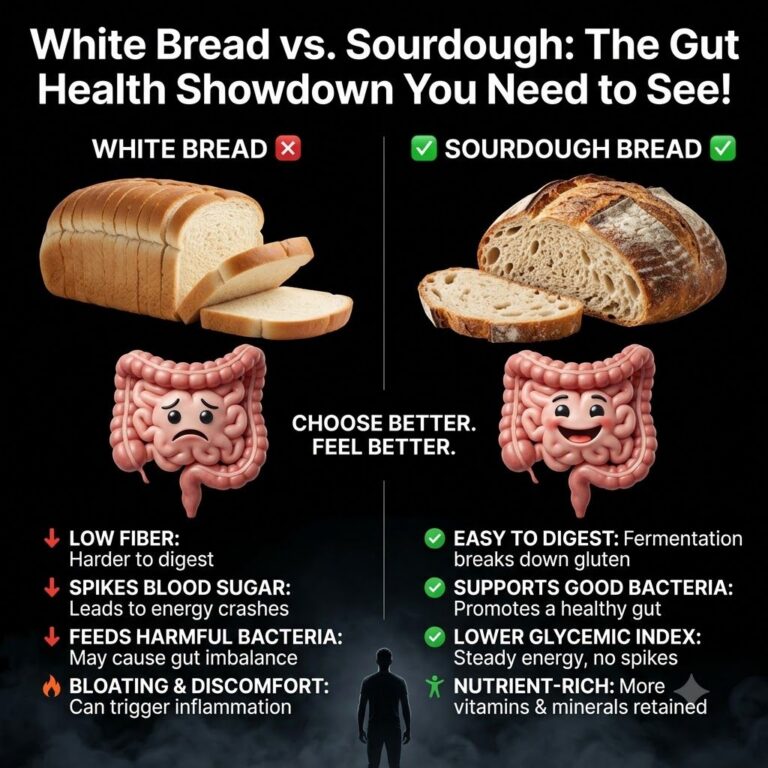 An infographic comparing white bread and sourdough bread showing a sad gut illustration for white bread and a happy gut 
