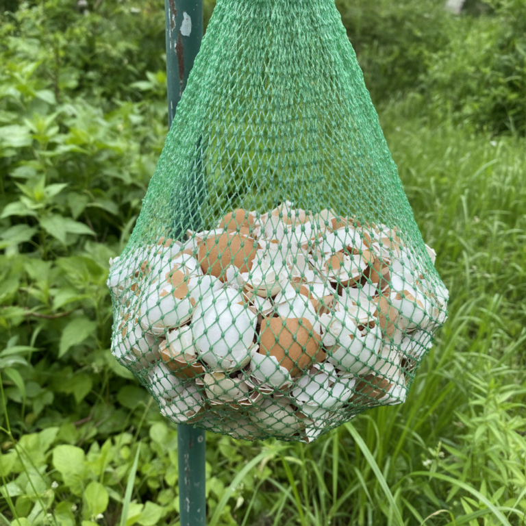 A green mesh bag filled with broken white and brown eggshells hanging in a lush garden setting