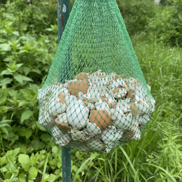 A green mesh bag filled with broken white and brown eggshells hanging in a lush garden setting