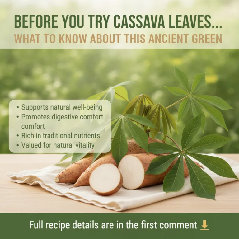 A vibrant close-up of fresh green cassava leaves on a plant with some sunlight filtering through emphasizing their natur