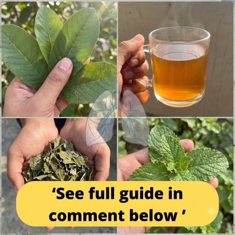 A collage of four quadrants featuring a hand holding fresh guava leaves a glass mug of steaming herbal tea hands holding