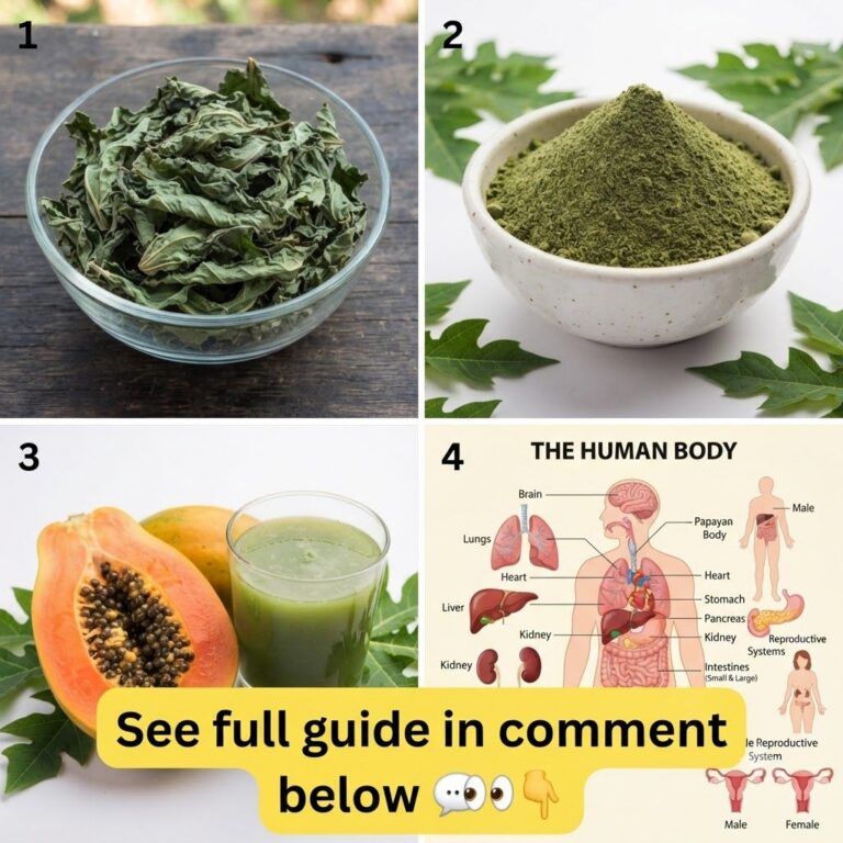 A collage featuring dried papaya leaves in a bowl green papaya leaf powder and fresh papaya leaves with a ripe fruit and