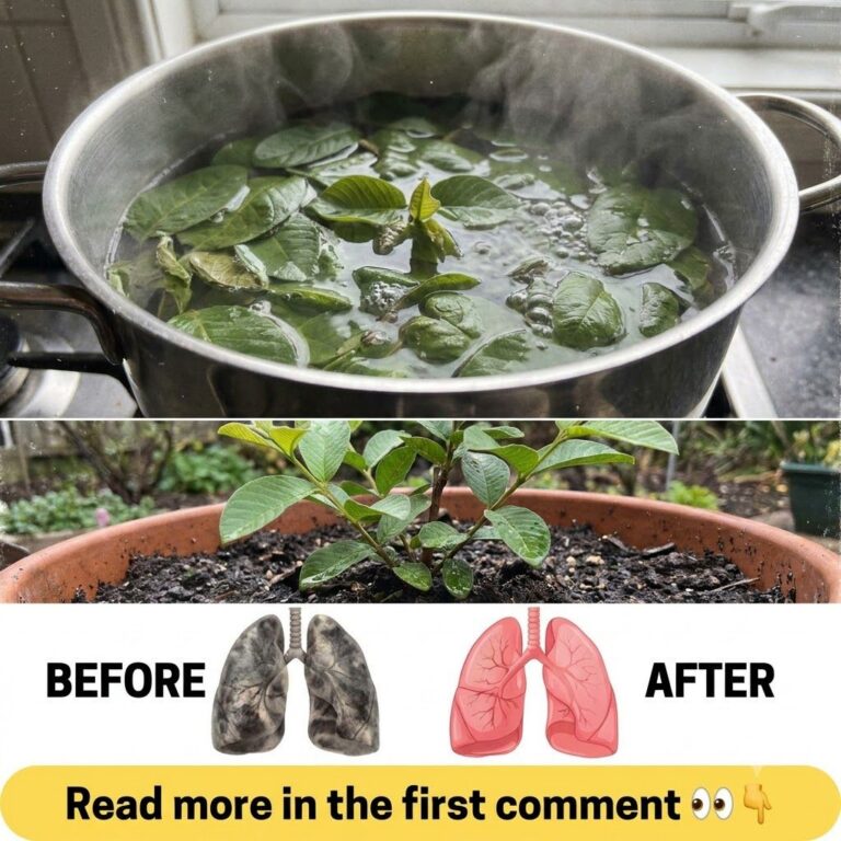 Fresh guava leaves steeping in hot water in a clear glass mug with steam rising The leaves are vibrant green and whole