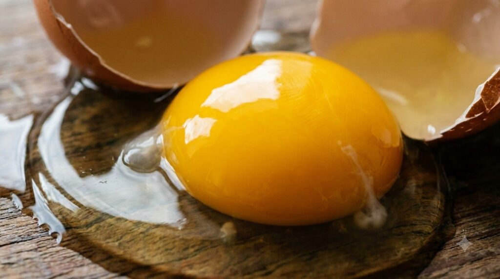 Close-up of a golden egg yolk with bright yellow color surrounded by clear egg white in a cracked eggshell illustrating 