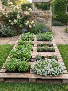An old wooden pallet laid flat with soil filled into its openings and various green herbs planted neatly in each section