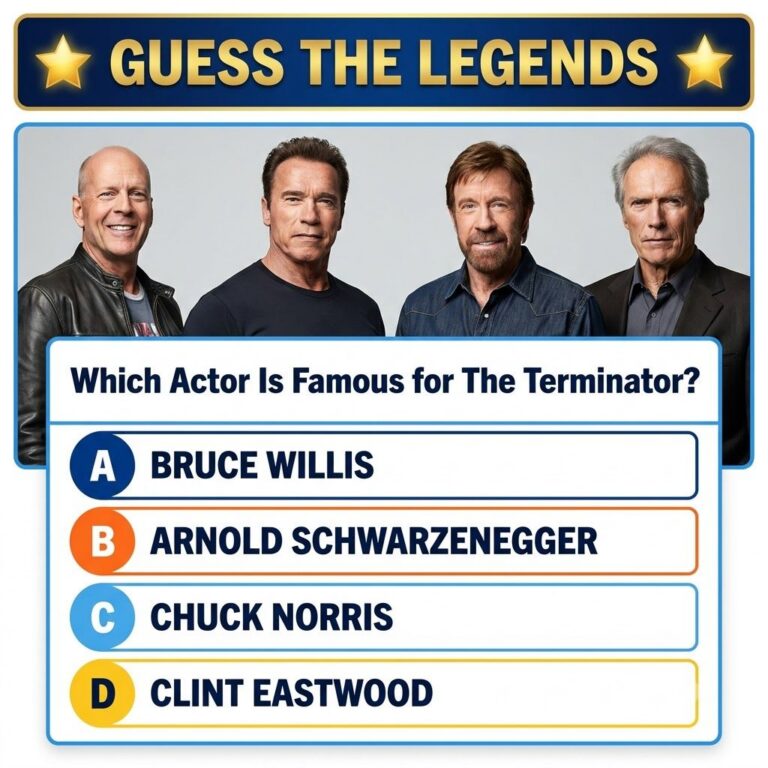A collage of four iconic 80s 90s action movie heroes One prominently features Arnold Schwarzenegger as The Terminator Th