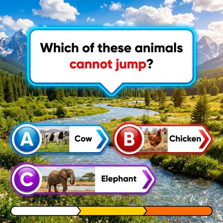A playful cartoon illustration of various common animals dog cat elephant rabbit around a question mark symbolizing an a