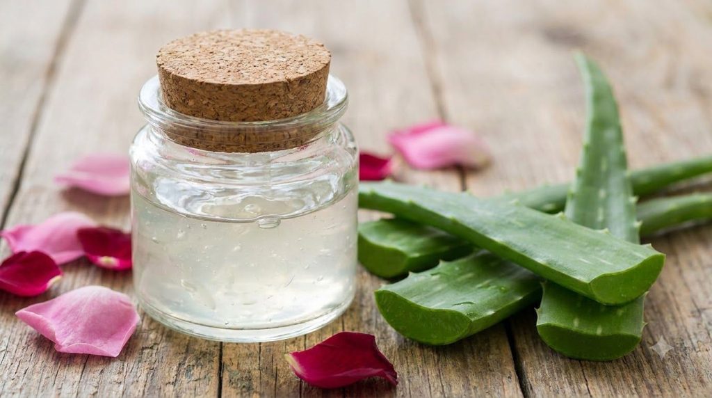 Close-up of a small glass jar filled with a clear homemade gel with fresh aloe vera leaves and rose petals scattered aro