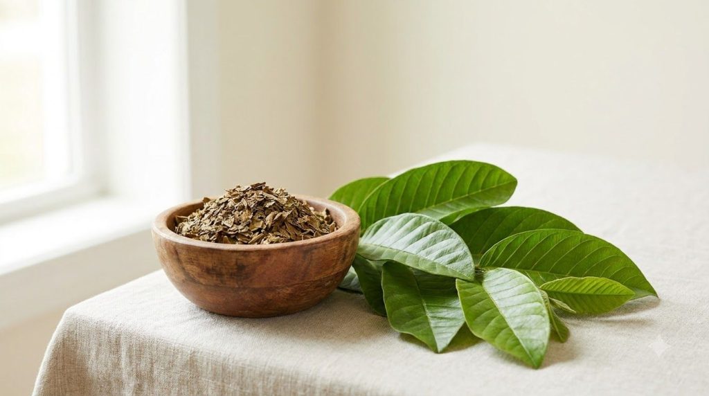 Dried crushed guava leaves in a small bowl next to a handful of fresh guava leaves showing the two forms
