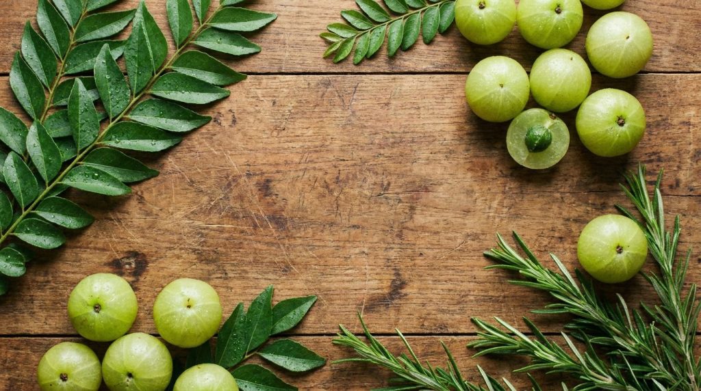 A collection of natural ingredients commonly used in DIY hair remedies such as amla curry leaves and rosemary neatly arr