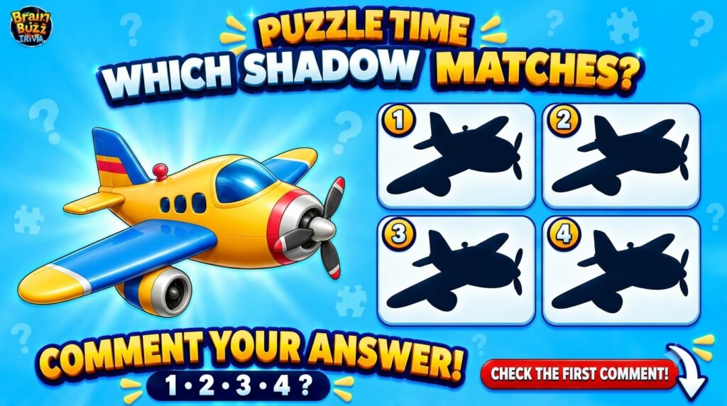 A cartoon-style brain teaser puzzle with a yellow and blue propeller plane at its center and four dark silhouettes below