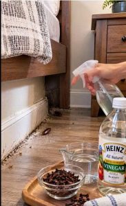 A hand spraying a DIY cockroach repellent made from vinegar and cloves onto a wooden floor where cockroaches are visible