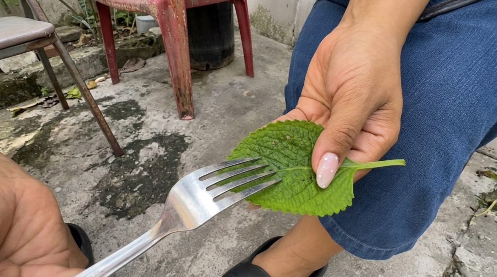 A close-up of a hand holding a large green leaf with a silver fork gently touching it emphasizing fresh ingredients