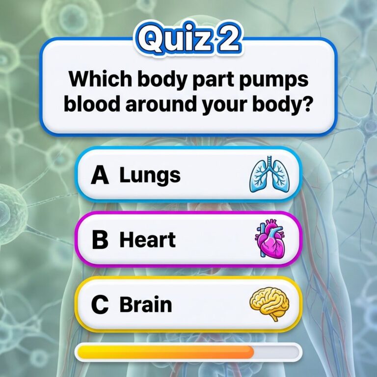 An intricate illustration of the human body highlighting key vital organs like the heart lungs and brain with subtle glo