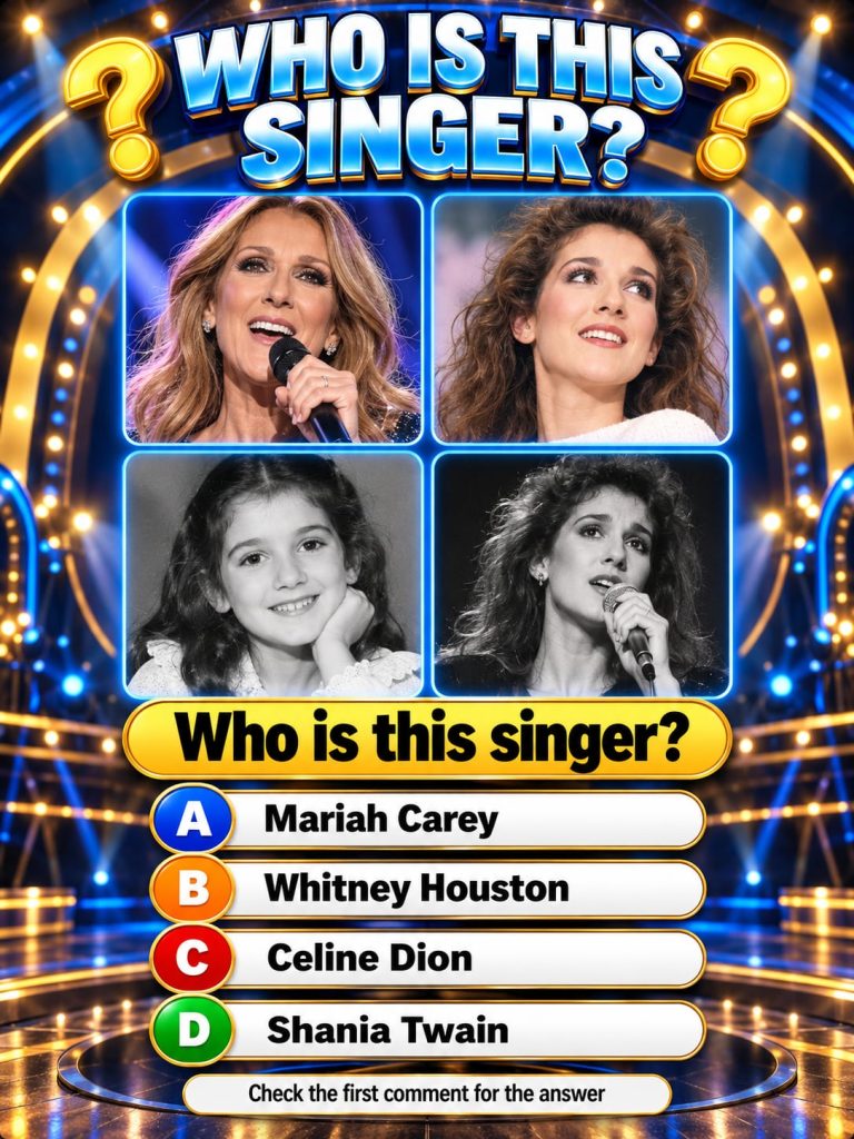 A collage of Barbra Streisand s iconic looks throughout her career showing her evolution from the 1960s to present day e